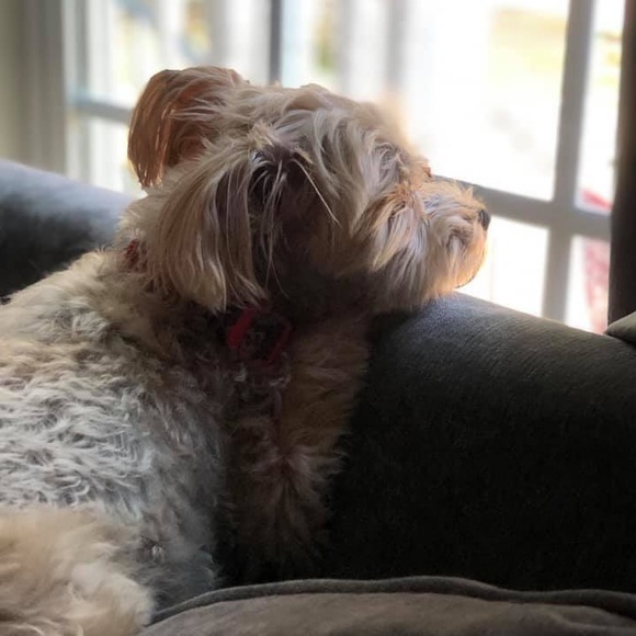 Hi! I’m Elisa - most call me E.  Just the letter E - Picture 7 of 13